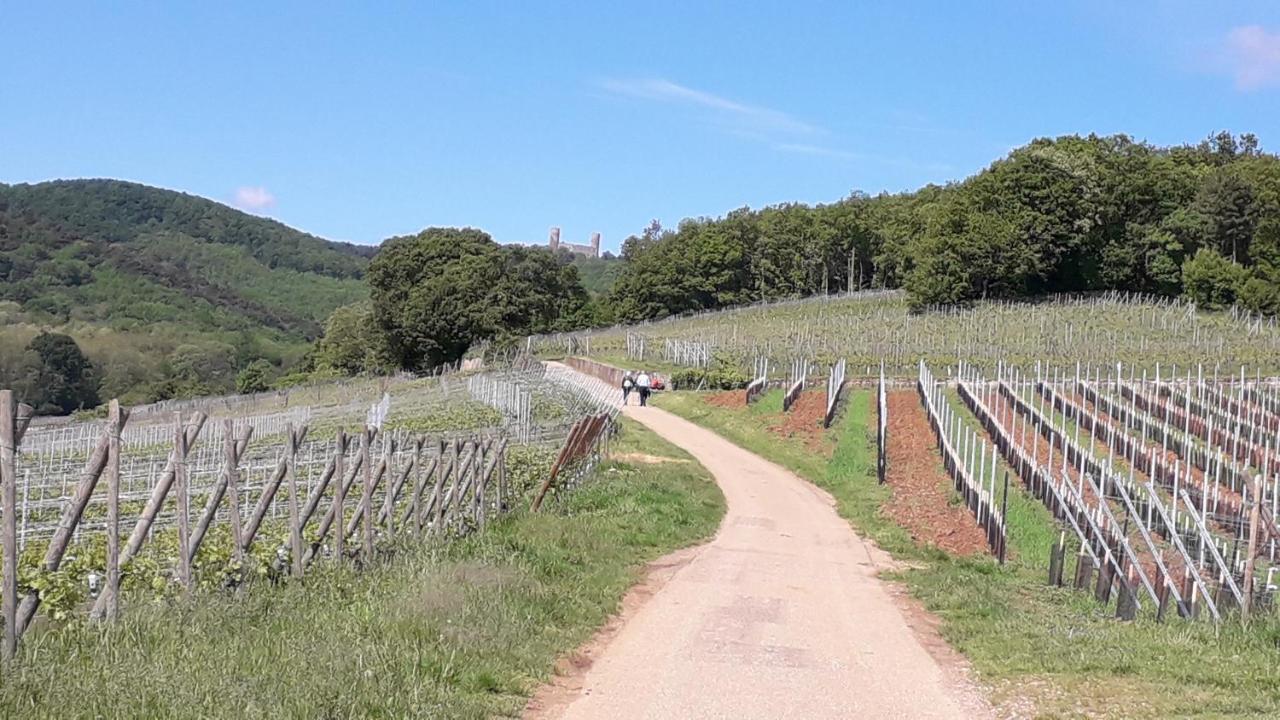 Au Coeur Des Vignes Lägenhet Barr Exteriör bild