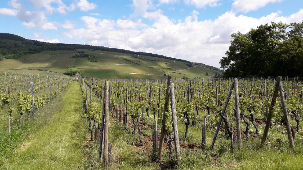 Au Coeur Des Vignes Lägenhet Barr Exteriör bild